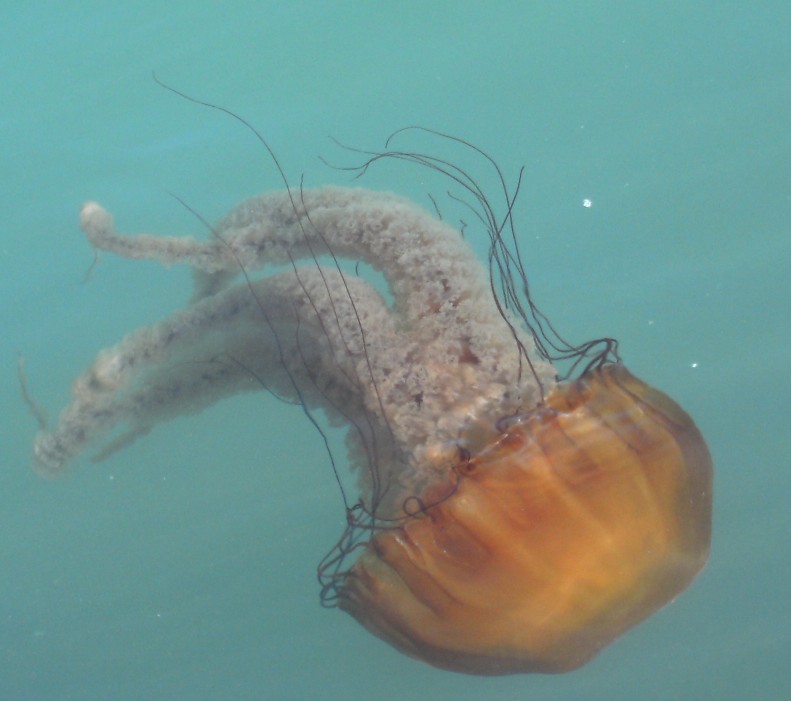 In Moss Landing Harbor